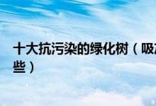 十大抗污染的绿化树（吸灰尘的绿化树抗雾霾绿化树种有哪些）