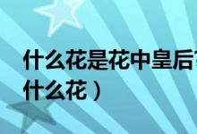 什么花是花中皇后?（花中皇后和花中之王是什么花）