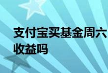 支付宝买基金周六日有收益吗 周六日有基金收益吗