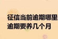 征信当前逾期哪里做都做不了 征信花了没有逾期要养几个月