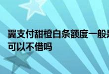 翼支付甜橙白条额度一般是多少 翼支付甜橙借钱申请了额度可以不借吗