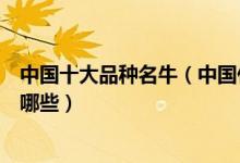 中国十大品种名牛（中国什么牛的肉最好吃中国好牛品种有哪些）