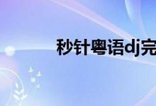 秒针粤语dj完整版（秒批口子）