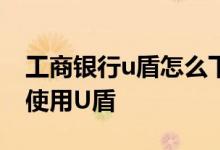 工商银行u盾怎么下载 工商银行：如何下载/使用U盾