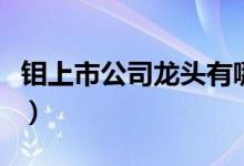 钼上市公司龙头有哪些（钼上市公司龙头一览）