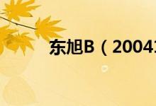 东旭B（200413）股票预测统计