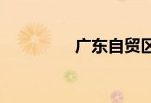 广东自贸区龙头股票大全