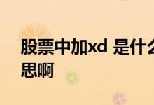 股票中加xd 是什么意思 股票加xd是什么意思啊