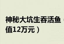 神秘大坑生吞活鱼（鱼塘上万斤活鱼被吞走价值12万元）