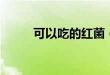 可以吃的红菌（红菌可不可以吃）