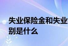 失业保险金和失业补助金一样吗 申领条件分别是什么 