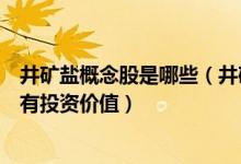 井矿盐概念股是哪些（井矿盐股票龙头一览哪些上市公司具有投资价值）