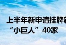 上半年新申请挂牌新三板企业203家专精特新“小巨人”40家