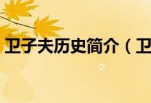 卫子夫历史简介（卫子夫历史简介（图文））