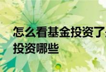 怎么看基金投资了些什么 怎么知道一个基金投资哪些