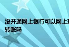 没开通网上银行可以网上查流水吗 没开通网上银行可以网上转账吗