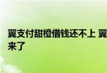 翼支付甜橙借钱还不上 翼支付甜橙借钱一次还清怎么借不出来了