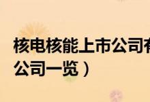 核电核能上市公司有哪些（核电核能受益上市公司一览）