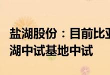 盐湖股份：目前比亚迪利用自有提锂技术在盐湖中试基地中试