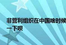 非营利组织在中国啥时候起步 非营利组织有哪些 知道的说一下呗