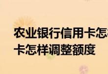 农业银行信用卡怎样调整额度 农业银行信用卡怎样调整额度