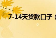 7-14天贷款口子（欠了三四十个7天贷）