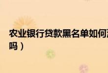农业银行贷款黑名单如何消（农业银行信用卡黑名单能贷款吗）