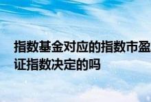指数基金对应的指数市盈率为什么有两个? 基金盈亏是由上证指数决定的吗