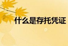 什么是存托凭证 什么是存托凭证交易