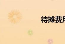 待摊费用（新准则）