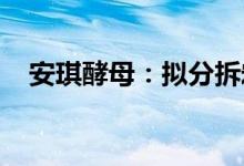安琪酵母：拟分拆宏裕包材至北交所上市