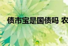 债市宝是国债吗 农行债市宝和国债的区别