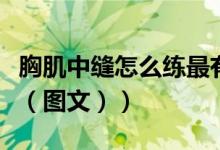 胸肌中缝怎么练最有效徒手（胸肌中缝怎么练（图文））