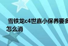  雪铁龙c4世嘉小保养要多少钱 雪铁龙c4世嘉的保养提示灯怎么消 