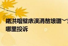 鍩洪噾璧庡洖涓嶅埌璐﹀埌鍝噷鎶曡瘔 货币基金没到账去哪里投诉