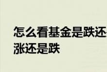 怎么看基金是跌还是涨啊 基金怎么看今天是涨还是跌