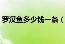 罗汉鱼多少钱一条（最贵罗汉鱼多少钱一条）