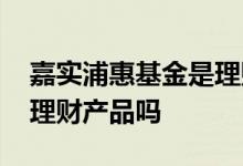嘉实浦惠基金是理财产品吗 嘉实浦惠基金是理财产品吗