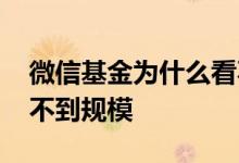 微信基金为什么看不了了 微信基金为什么看不到规模