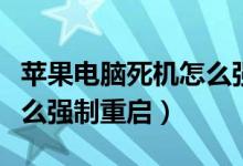 苹果电脑死机怎么强制退出（苹果电脑死机怎么强制重启）