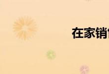 在家销售人寿保险