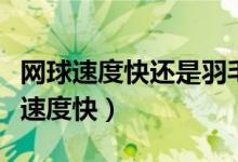 网球速度快还是羽毛球快（羽毛球跟网球哪个速度快）
