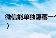 微信能单独隐藏一个人的聊天（微信能借钱吗）