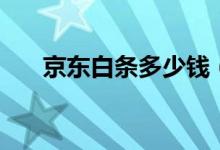 京东白条多少钱（京东白条多久还款）