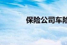 保险公司车险估价机制是怎样