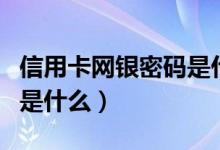 信用卡网银密码是什么（信用卡网银登录密码是什么）