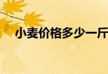 小麦价格多少一斤（今日最新价格介绍）