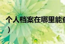个人档案在哪里能查（个人档案在哪里怎么查）
