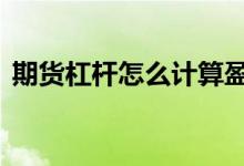 期货杠杆怎么计算盈利 期货盈利怎么计算的