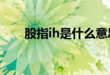 股指ih是什么意思 股指ic指什么意思